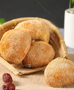 Nấm đầu khỉ/Nấm Hầu Thủ